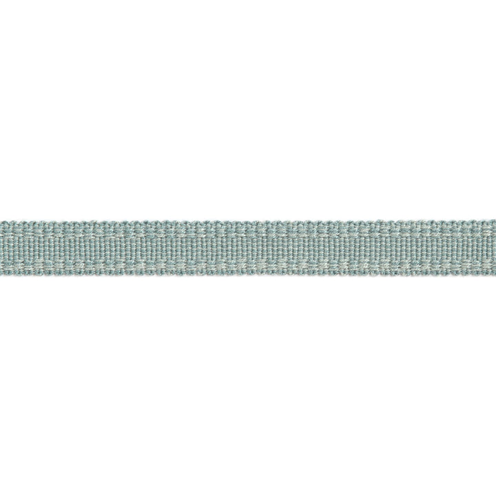 Versailles 9/16" Raised Edge Gimp Spa by Europatex Fabric Versailles 100% Rayon 0.56 inches - Fabric Carolina -
