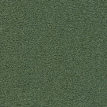 Rave Moss RAV 2617 by Burch Fabric See sample 100% Vinyl USA or Imported Water-based cleaning agents and foam may be used for cleaning. Cleaning by a professional cleaning service is recommended. 54 - Fabric Carolina -