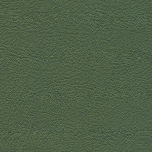 Rave Moss RAV 2617 by Burch Fabric