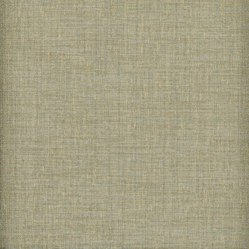 Raw Silk Crepe Water by Heritage Fabric - USA or Imported Horizontal: and Vertical: - Fabric Carolina -