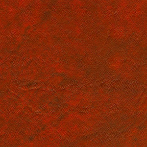 Red Robin Clove by Naugahyde Fabric