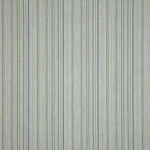 14017-0001 Refine Cactus by Sunbrella Fabric
