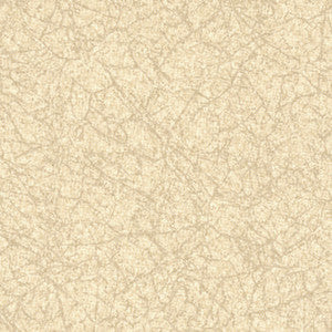 Renaissance Chalk by Spradling Fabric