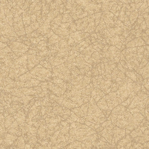 Renaissance Gypsum 0785 by Spradling Fabric