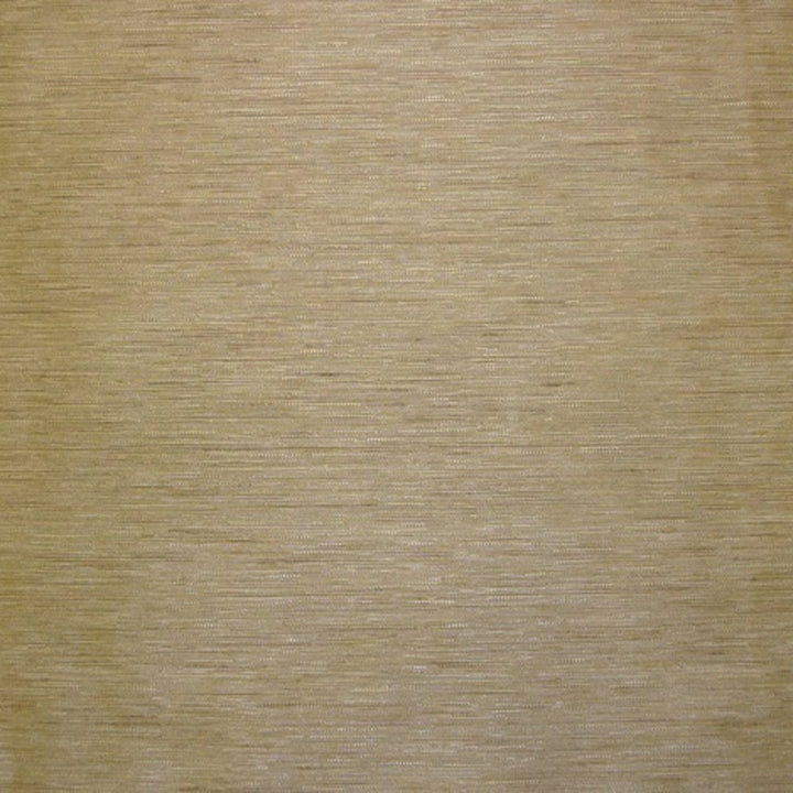 Roberto Plain Beige by Europatex Fabric Roberto 100% Viscose 0.00" 55.00 inches - Fabric Carolina -