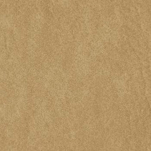 Rogue II Fawn RU 880 by Naugahyde Fabric