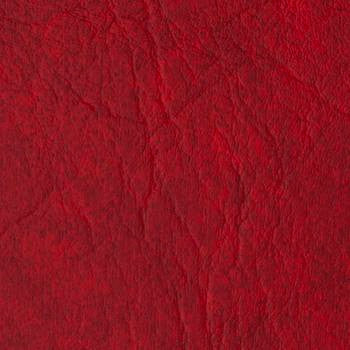 Rogue II Poppy by Naugahyde Fabric See sample 100% Vinyl 0 Horizontal: Not Applicable and Vertical: Not Applicable 54" - Fabric Carolina -