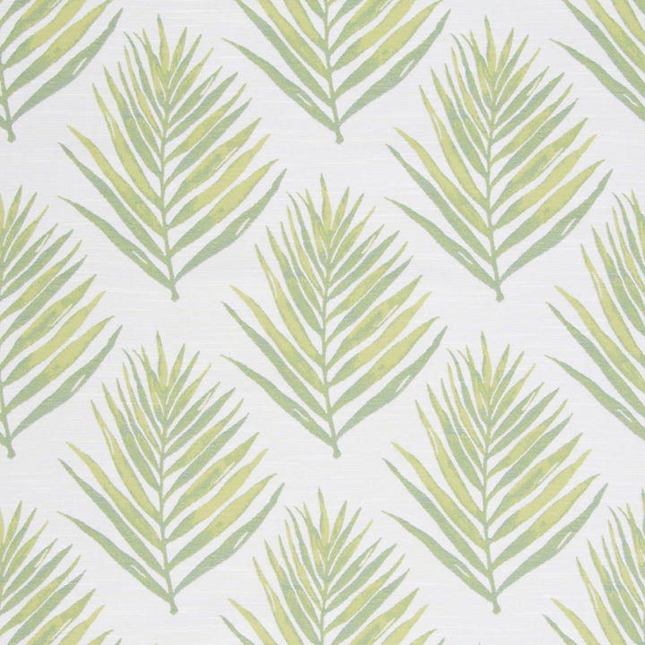 Royal Palm Lime by Bella-Dura Fabric  100% HIGH UV POLYESTER USA 100,000 H: 14" V: 13.25" 56"  - Fabric Carolina -