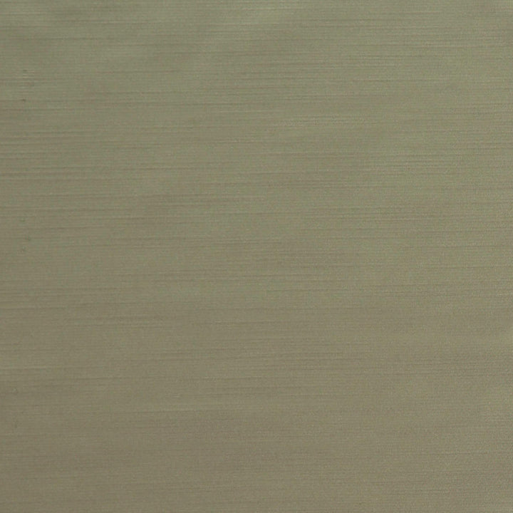 Royal Slub Fog by Europatex Fabric Royal Slub 100% Polyester 0.00" 55.00 inches - Fabric Carolina -