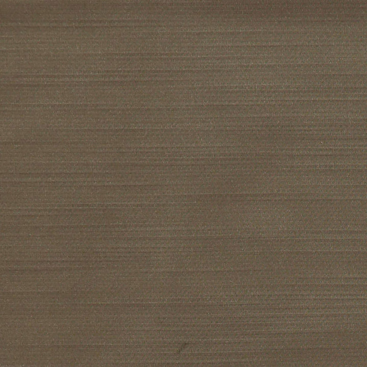 Royal Slub Mink by Europatex Fabric Royal Slub 100% Polyester 0.00" 55.00 inches - Fabric Carolina -