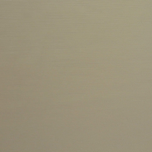 Royal Slub - Vanilla by Europatex Fabric Royal Slub 100% Polyester China See Sample Horizontal: N/A and Vertical: N/A 55.00 inches  - Fabric Carolina -