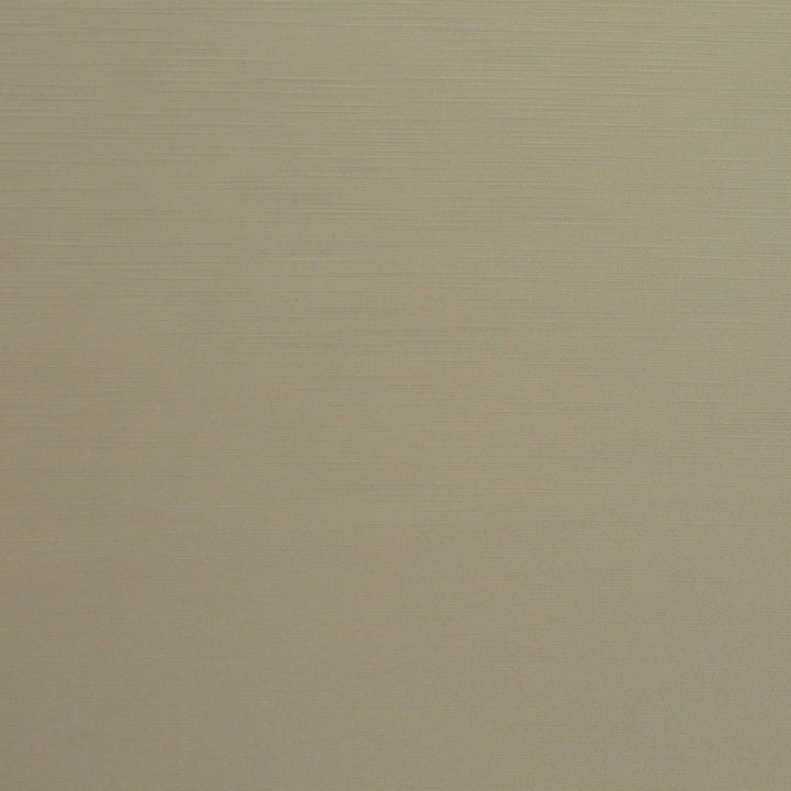 Royal Slub Vanilla by Europatex Fabric Royal Slub 100% Polyester 0.00" 55.00 inches - Fabric Carolina -