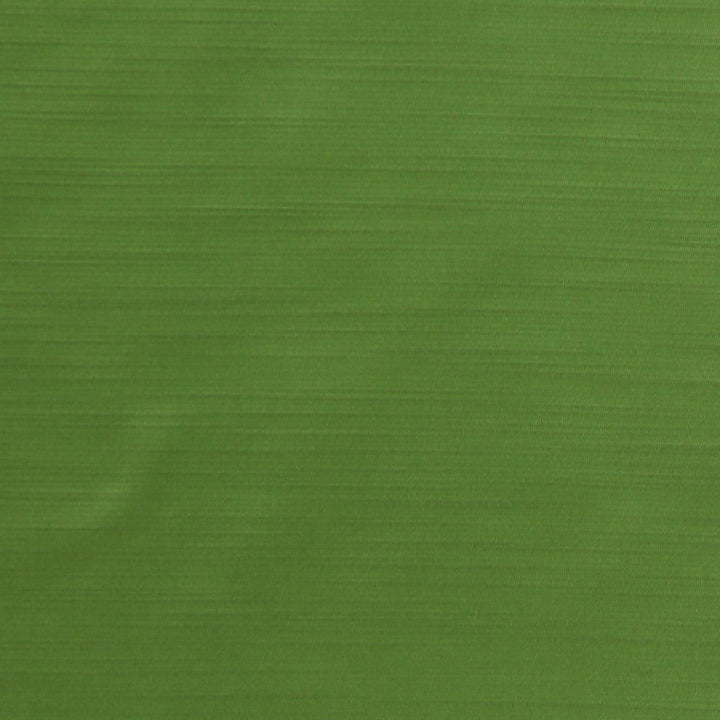 Royal Slub Apple by Europatex Designer Fabric Royal Slub 100% Polyester India 30,000 Double Rubs Horizontal: N/A and Vertical: N/A 55" - Swanky Fabrics -