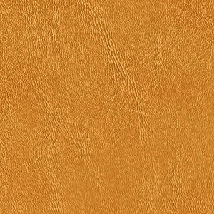 Royal Hampton Camel by Morbern Fabric