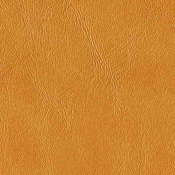Royal Hampton Camel by Morbern Fabric See sample 100% Vinyl 0 Horizontal: Not Applicable and Vertical: Not Applicable 54" - Fabric Carolina -
