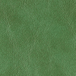 Royal Hampton Fern by Morbern Fabric