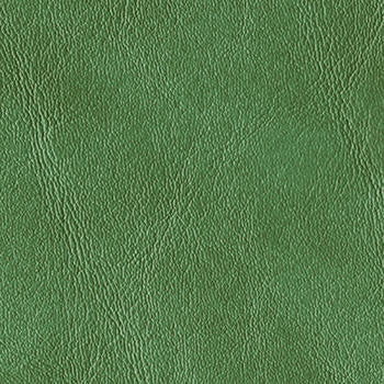 Royal Hampton Fern HO-39 by Morbern Designer Fabric See sample 100% Vinyl USA or Imported Water-based cleaning agents and foam may be used for cleaning. Cleaning by a professional cleaning service is recommended. </p><p>Repeat: Horizontal: and Vertical: 54" - Swanky Fabrics -