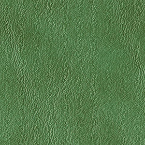 Royal Hampton Fern by Morbern Fabric
