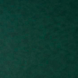 Royal Hampton Sage by Morbern Fabric