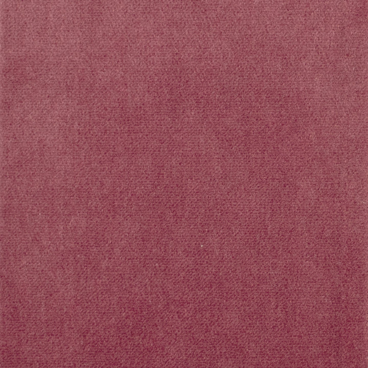 S1062 Berry by Greenhouse Fabric 75% Polyester, 25% Cotton China 201,000 double rubs </p><p>Repeat: None 54" - Fabric Carolina -