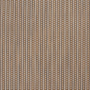 S107 Sandstone by Charlotte Fabric