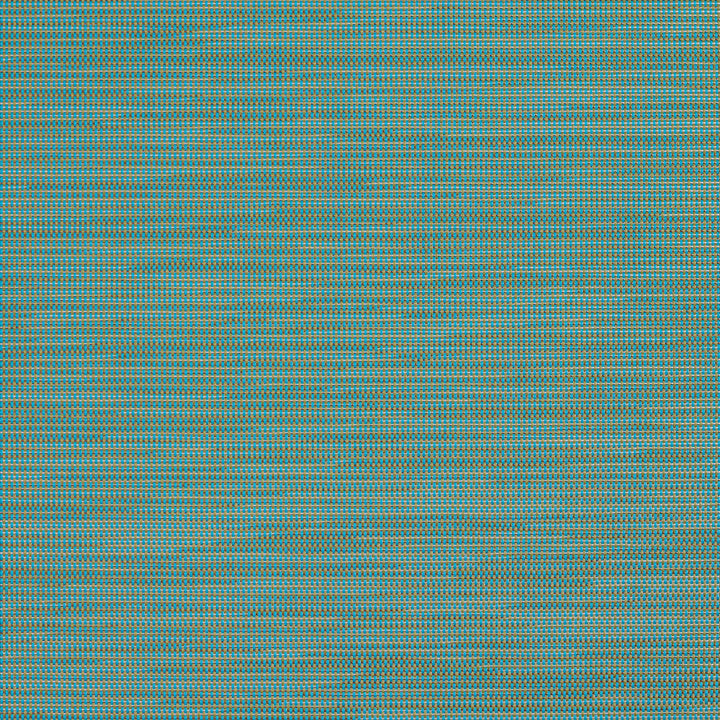 S121 Lagoon by Charlotte Fabric Outdoor Sling 100% Coated Polyester Made In USA Exceeds 100,000 Wyzenbeek Rubs (Heavy Duty) No Repeat 54 Inches - Fabric Carolina -