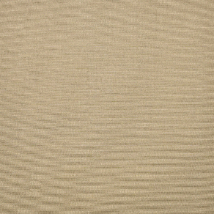 S1243 Dune by Greenhouse Fabric 100% Polyester 
 2,000 Light Hours TAIWAN 427,500 </p><p>Repeat: None 54" - Fabric Carolina -