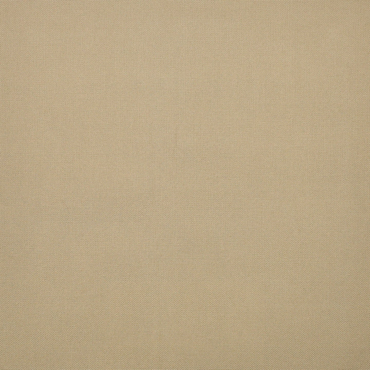 S1243 Dune by Greenhouse Fabric 100% Polyester 2,000 Light Hours Taiwan 427,500 double rubs </p><p>Repeat: None 54" - Fabric Carolina -