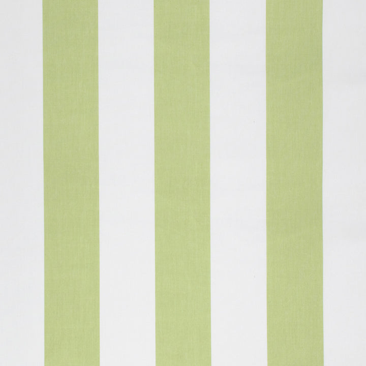 S1264 Celery by Greenhouse Fabric 100% Polyester 2,000 Light Hours Taiwan 427,500 double rubs </p><p>Repeat: 8" H 54" - Fabric Carolina -
