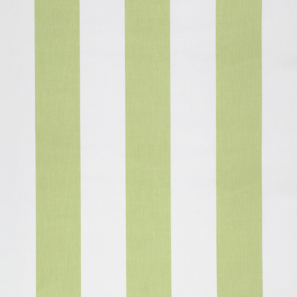 S1264 Celery by Greenhouse Fabric 100% Polyester 
 2,000 Light Hours TAIWAN 427,500 </p><p>Repeat: 8" H 54" - Fabric Carolina -