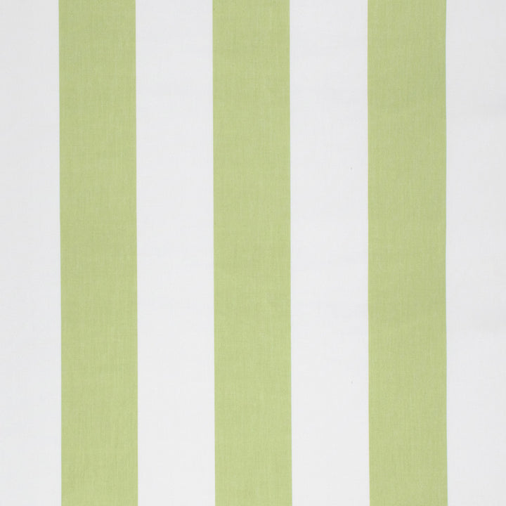 S1264 Celery by Greenhouse Fabric 100% Polyester 
 2,000 Light Hours TAIWAN 427,500 </p><p>Repeat: 8" H 54" - Fabric Carolina -