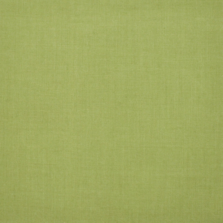 S1265 Moss by Greenhouse Fabric 100% Polyester 
 2,000 Light Hours TAIWAN 427,500 </p><p>Repeat: None 54" - Fabric Carolina -