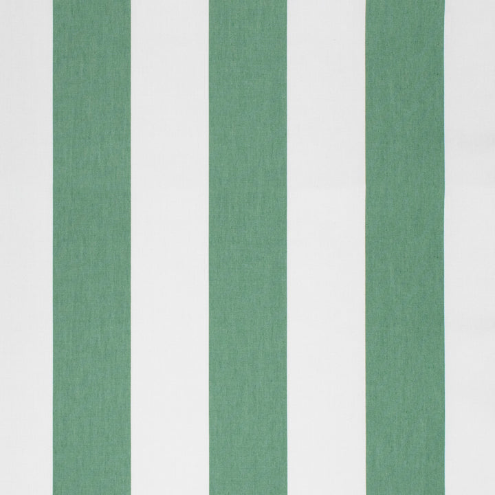 S1266 Jungle by Greenhouse Fabric S06: Paris Outdoor 100% Polyester 2,000 Light Hours Taiwan 427,500 double rubs Durable Water Repellent </p><p>Repeat: 8" H 54" - Fabric Carolina -