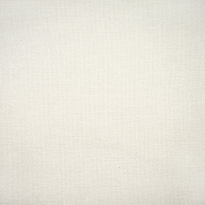 S1342 Snow by Greenhouse Fabric 78% Polyester, 22% Cotton India 100,000 double rubs </p><p>Repeat: None 55" - Fabric Carolina -
