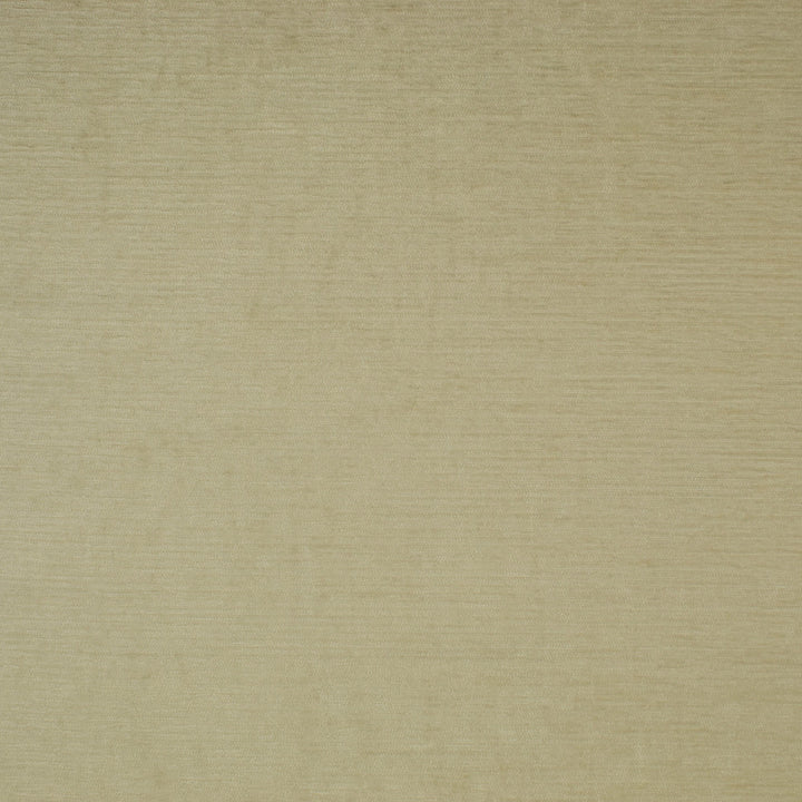 S1474 Pearl by Greenhouse Fabric 100% Polyester India 70,000 double rubs </p><p>Repeat: None 55" - Fabric Carolina -