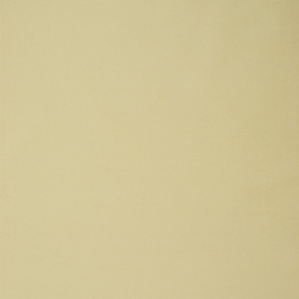 S1475 Bone by Greenhouse Fabric 100% Polyester China 100,000 double rubs </p><p>Repeat: None 57" - Fabric Carolina -