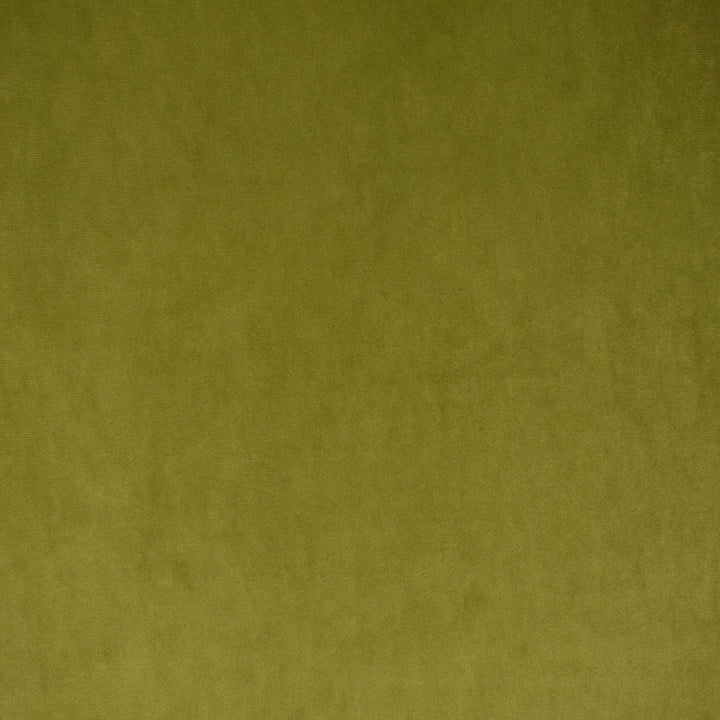 S1492 Olive by Greenhouse Fabric 100% Polyester China 100,000 double rubs </p><p>Repeat: None 57" - Fabric Carolina -