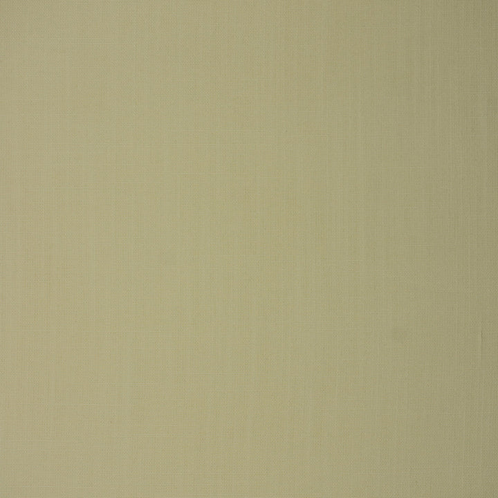 S1540 Natural by Greenhouse Fabric 100% Polyester India 50,000 double rubs </p><p>Repeat: None 56" - Fabric Carolina -