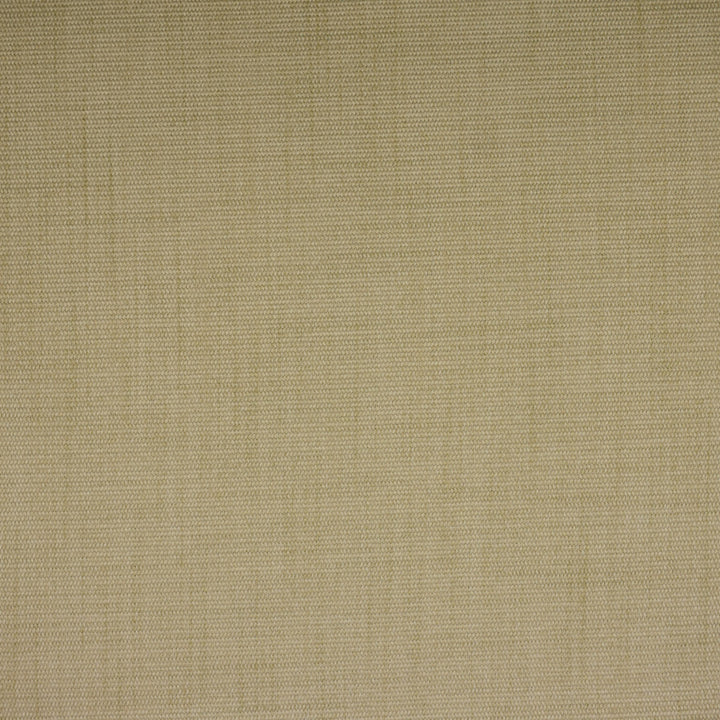 S1549 Raffia by Greenhouse Fabric 100% Polyester China 50,000 double rubs </p><p>Repeat: None 57" - Fabric Carolina -