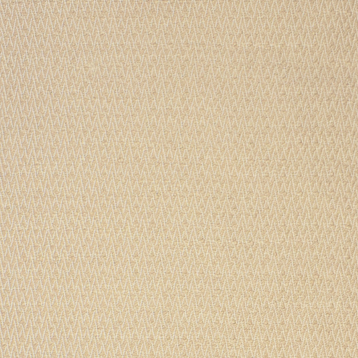 S2133 Dune by Greenhouse Fabric 100% Polyester (Uv) USA 63,000 double rubs </p><p>Repeat: .375" H, .375" V 56" - Fabric Carolina -