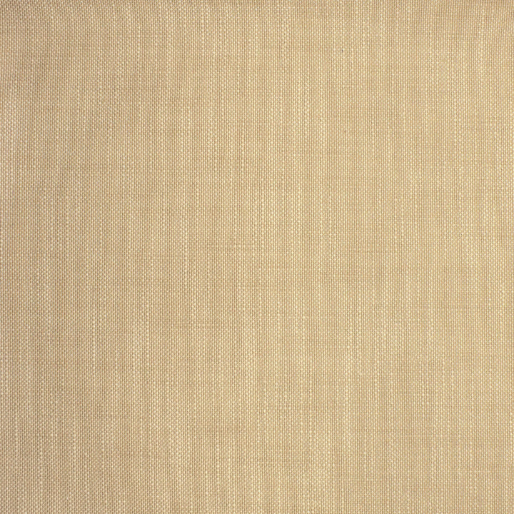 S2135 Latte by Greenhouse Fabric S62: Outdoor Performance 100% Polyester (Uv) USA 105,000 double rubs </p><p>Repeat: .063" H, .063" V 55" - Fabric Carolina -