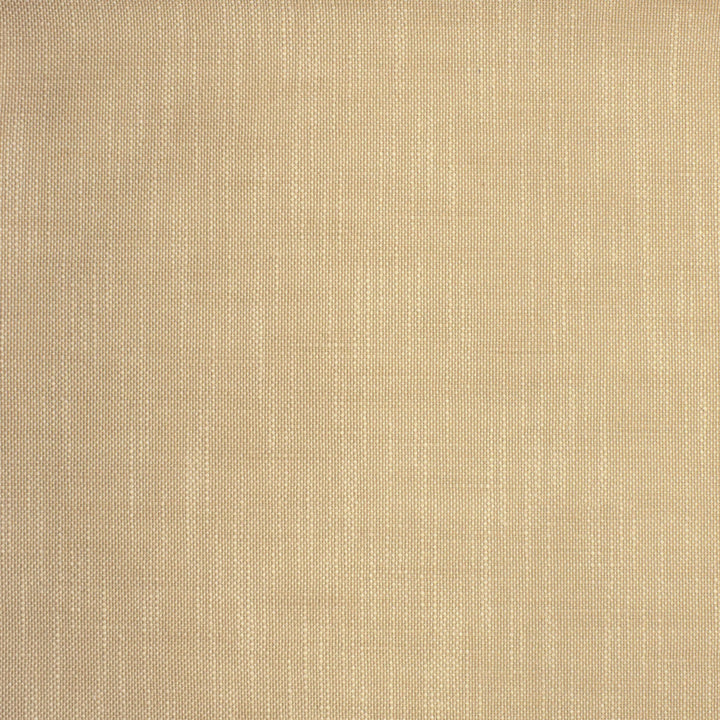 S2135 Latte by Greenhouse Fabric 100% Polyester (Uv) USA 105,000 </p><p>Repeat: .063" H, .063" V 55" - Fabric Carolina -