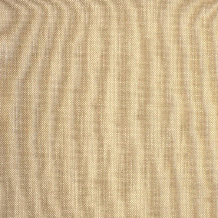 S2135 Latte by Greenhouse Designer Fabric S62: Outdoor Performance 100% Polyester (Uv) USA 105,000 double rubs </p><p>Repeat: .063" H, .063" V 55" - Swanky Fabrics -