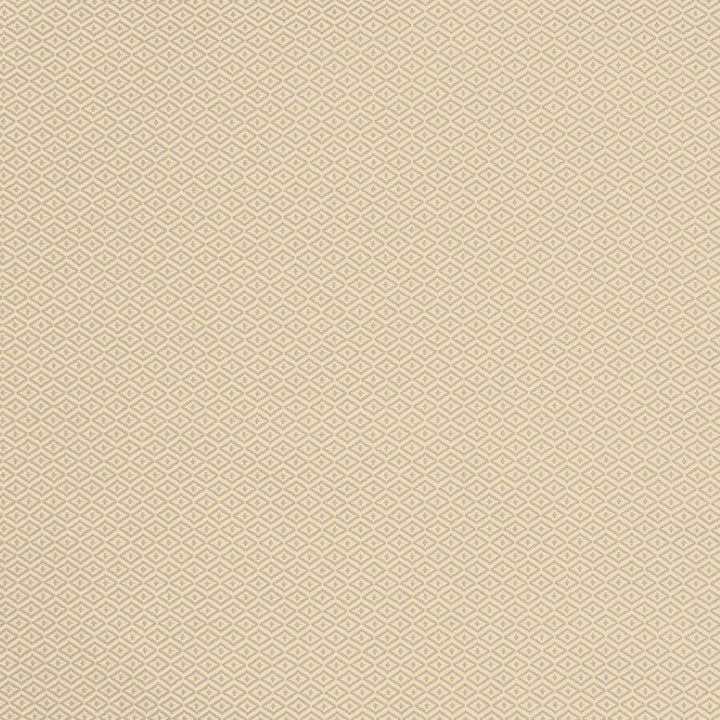 S2139 Chai by Greenhouse Designer Fabric 100% Polyester (Uv) USA 60,000 double rubs </p><p>Repeat: .344" H, .406" V 55" - Swanky Fabrics -