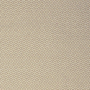 S2147 Dune by Greenhouse Fabric