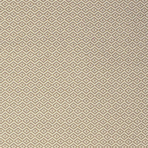 S2147 Dune by Greenhouse Fabric