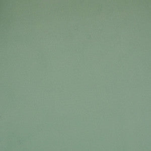 S2167 Robins Egg by Greenhouse Fabric