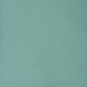 S2174 Surf by Greenhouse Fabric