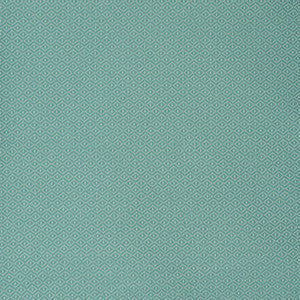 S2174 Surf by Greenhouse Fabric