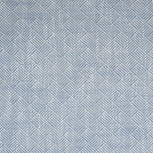 S2190 Voyage by Greenhouse Fabric